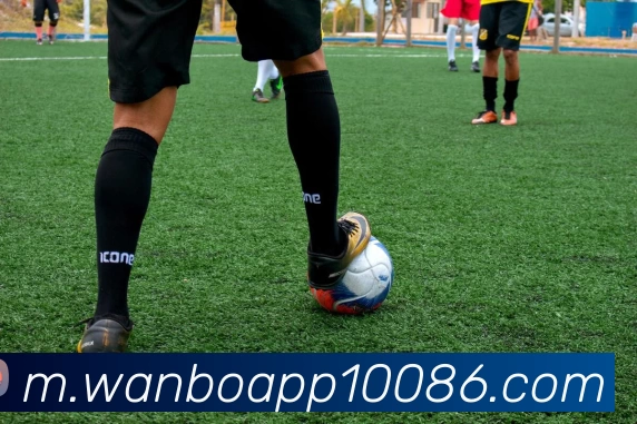 多媒体互动体验